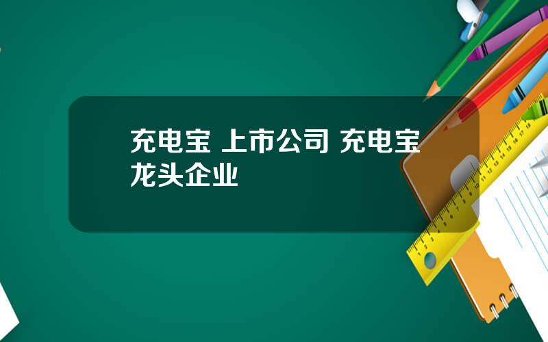 充电宝 上市公司 充电宝龙头企业